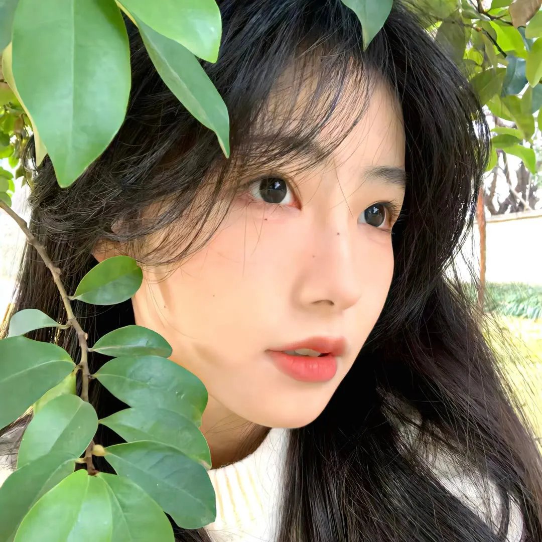 马场艳侣